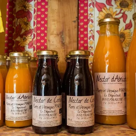 Le Degoutaud Bed & Breakfast Le Barroux